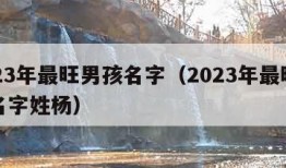 2023年最旺男孩名字（2023年最旺男孩名字姓杨）