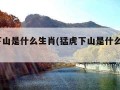 猛虎下山是什么生肖(猛虎下山是什么生肖?答案)