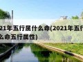 2021年五行属什么命(2021年五行属什么命五行属性)