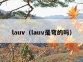 lauv（lauv是弯的吗）