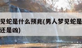 男人梦见蛇是什么预兆(男人梦见蛇是什么预兆是吉还是凶)