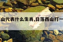 日落西山代表什么生肖,日落西山打一正确生肖