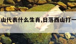 日落西山代表什么生肖,日落西山打一正确生肖