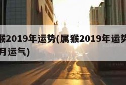 属猴2019年运势(属猴2019年运势运11月运气)