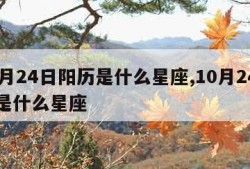 10月24日阳历是什么星座,10月24日份是什么星座