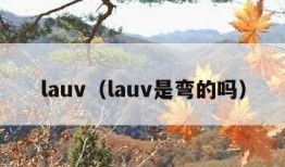 lauv（lauv是弯的吗）