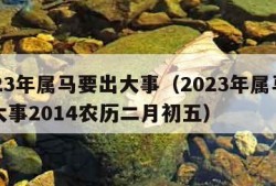 2023年属马要出大事（2023年属马要出大事2014农历二月初五）