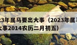 2023年属马要出大事（2023年属马要出大事2014农历二月初五）