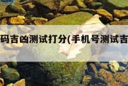 手机号码吉凶测试打分(手机号测试吉凶打分)