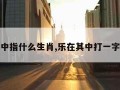 乐在其中指什么生肖,乐在其中打一字是什么