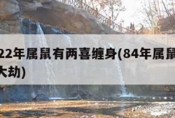 2022年属鼠有两喜缠身(84年属鼠40岁大劫)