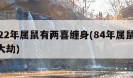 2022年属鼠有两喜缠身(84年属鼠40岁大劫)