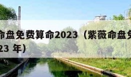 紫薇命盘免费算命2023（紫薇命盘免费算命2023 年）