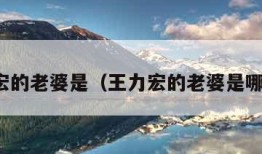 王力宏的老婆是（王力宏的老婆是哪国人）