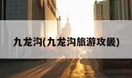 九龙沟(九龙沟旅游攻畿)