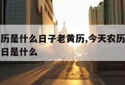 今天农历是什么日子老黄历,今天农历是什么黄道吉日是什么