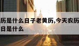 今天农历是什么日子老黄历,今天农历是什么黄道吉日是什么