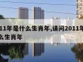 2011年是什么生肖年,请问2011年是什么生肖年