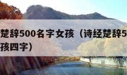 诗经楚辞500名字女孩（诗经楚辞500名字女孩四字）