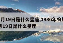 11月19日是什么星座,1986年农历11月19日是什么星座