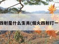 烟火四射是什么生肖(烟火四射打一生肖)