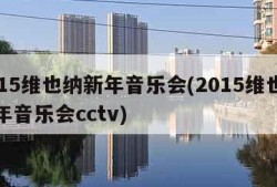 2015维也纳新年音乐会(2015维也纳新年音乐会cctv)