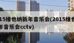 2015维也纳新年音乐会(2015维也纳新年音乐会cctv)