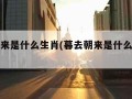 暮去朝来是什么生肖(暮去朝来是什么生肖答案)