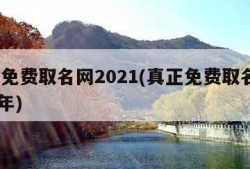 真正免费取名网2021(真正免费取名网2023年)