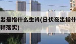 日伏夜出是指什么生肖(日伏夜出指什么生肖全面解释落实)