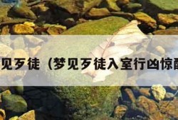 梦见歹徒（梦见歹徒入室行凶惊醒）