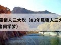 83年属猪人三大坎（83年属猪人三大坎婚姻属猪国学梦）