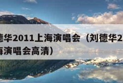 刘德华2011上海演唱会（刘德华2011上海演唱会高清）