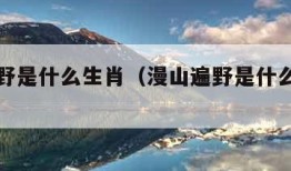 漫山遍野是什么生肖（漫山遍野是什么生肖动物?）