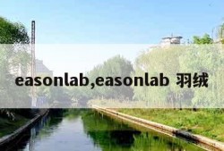 easonlab,easonlab 羽绒