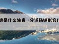 分道扬镳是什么生肖（分道扬镳形容什么生肖）