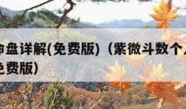 个人命盘详解(免费版)（紫微斗数个人命盘详解免费版）