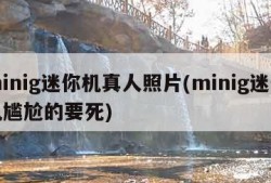 minig迷你机真人照片(minig迷你机尴尬的要死)