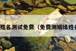 测姻缘姓名测试免费（免费测姻缘姓名配对）