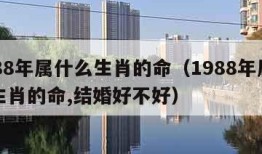 1988年属什么生肖的命（1988年属什么生肖的命,结婚好不好）