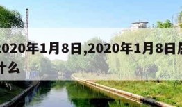 2020年1月8日,2020年1月8日属什么