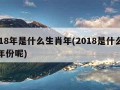 2018年是什么生肖年(2018是什么生肖年份呢)