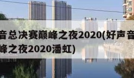 好声音总决赛巅峰之夜2020(好声音总决赛巅峰之夜2020潘虹)