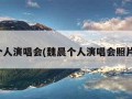 魏晨个人演唱会(魏晨个人演唱会照片高清)