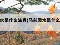 马前泼水是什么生肖(马前泼水是什么生肖呢)