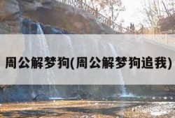 周公解梦狗(周公解梦狗追我)