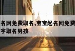 宝宝起名网免费取名,宝宝起名网免费取名字生辰八字取名男孩