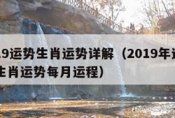 2019运势生肖运势详解（2019年运势12生肖运势每月运程）