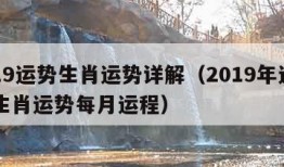 2019运势生肖运势详解（2019年运势12生肖运势每月运程）