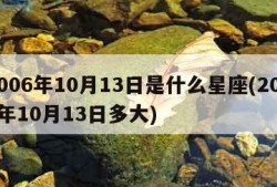 2006年10月13日是什么星座(2006年10月13日多大)